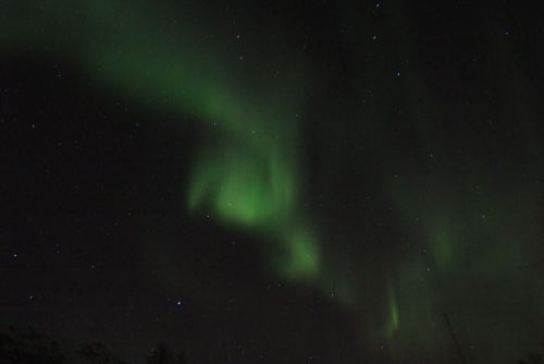 DSCF0712