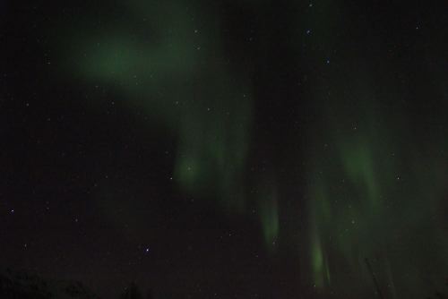 DSCF0716