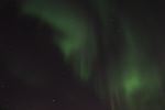 DSCF0718