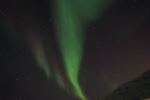 DSCF0720