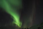 DSCF0729