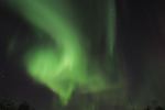DSCF0742