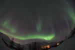 DSCF0773