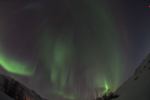 DSCF0779