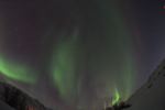 DSCF0780