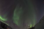 DSCF0781