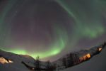 DSCF0784