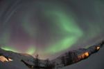 DSCF0787
