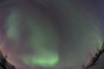 DSCF0788