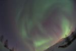 DSCF0794