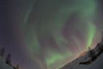 DSCF0795