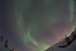DSCF0799