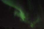 DSCF0710