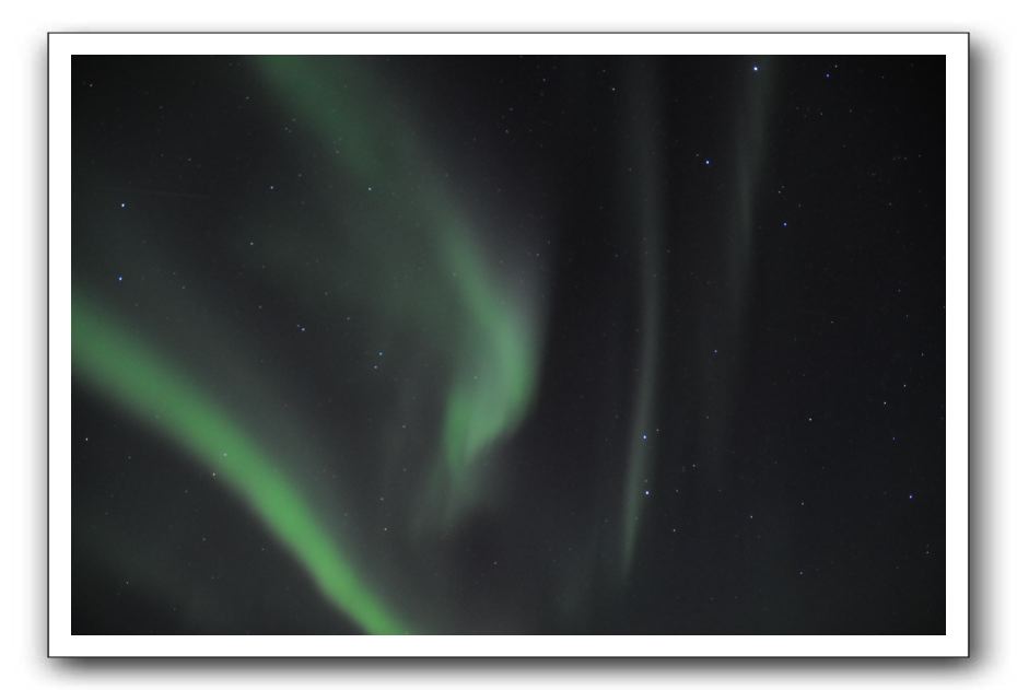 DSD_0001