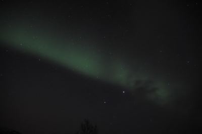 DSC_7914