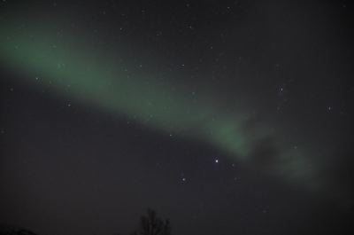 DSC_7916