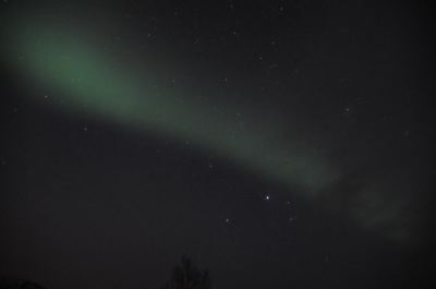 DSC_7917