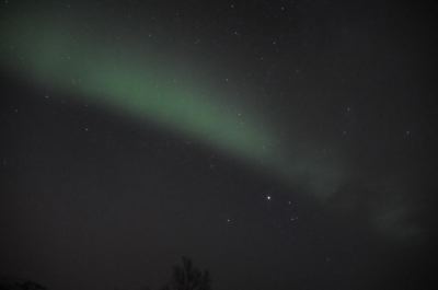 DSC_7918