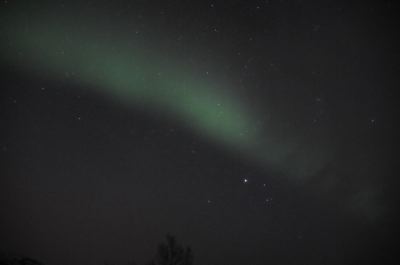 DSC_7919