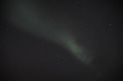 DSC_7921