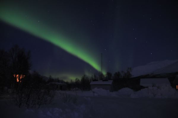 DSC_4462