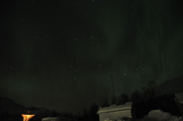 DSC_4739