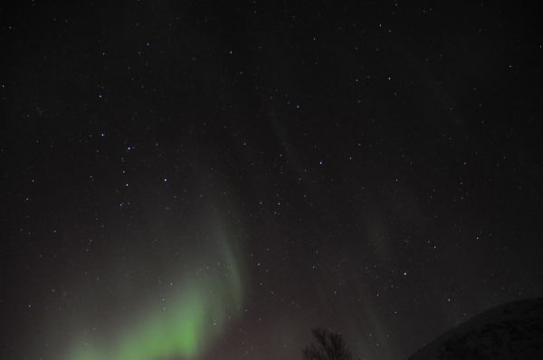 DSC_4741