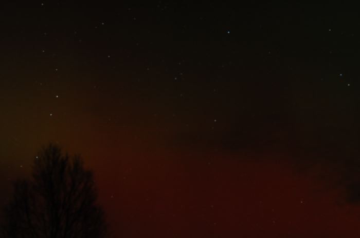 DSC_6639