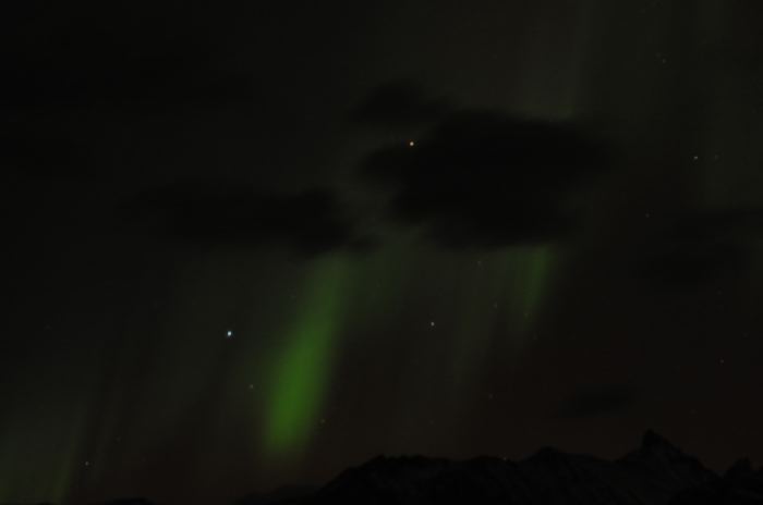 DSC_6661