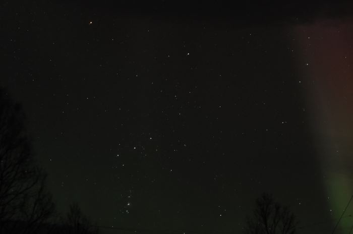 DSC_6724