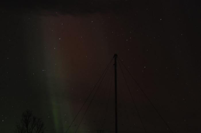 DSC_6726