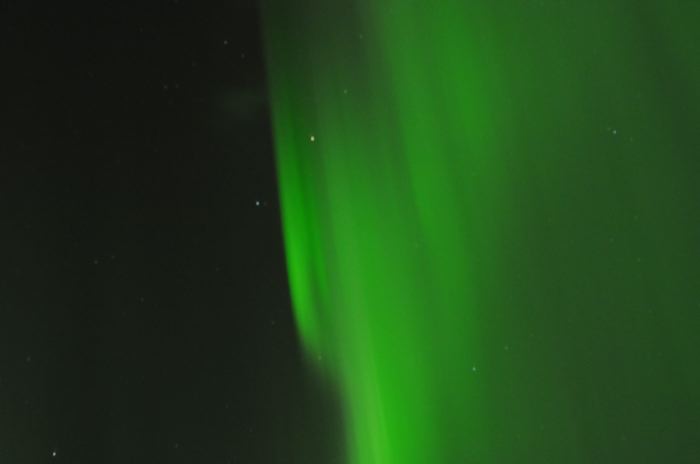 DSC_6604
