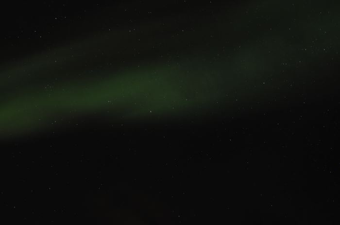 DSC_6771