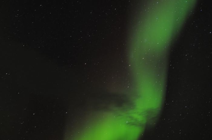 DSC_6780