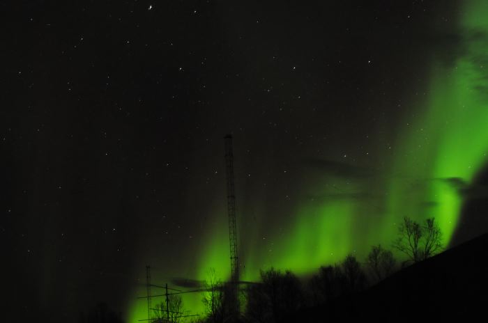 DSC_6784