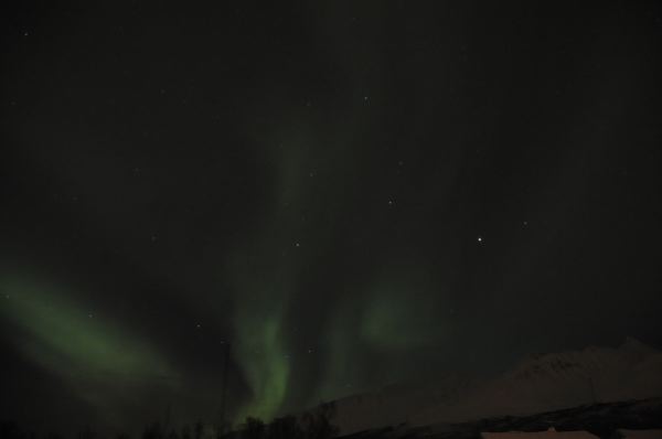 DSC_6940