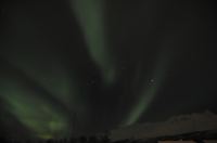 DSC_6895