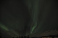DSC_6911