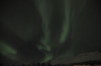DSC_6917