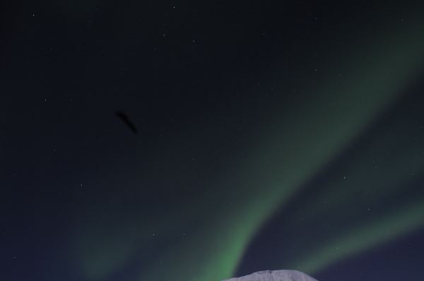 DSC_8262