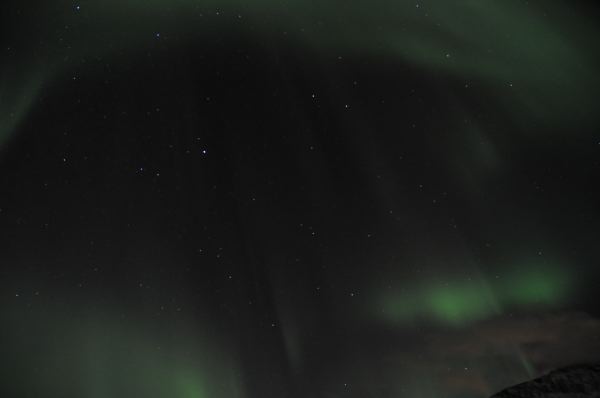 DSC_8631