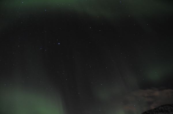DSC_8633