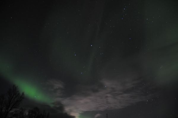 DSC_8640