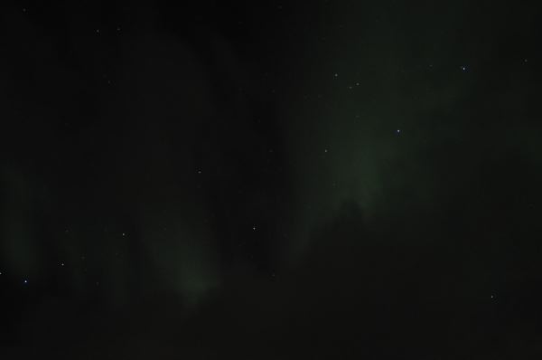 DSC_8571