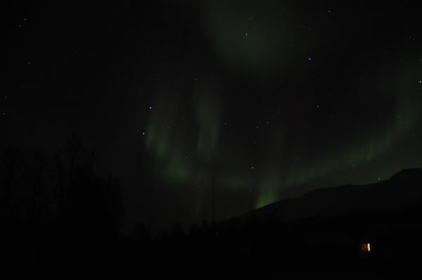DSC_8672
