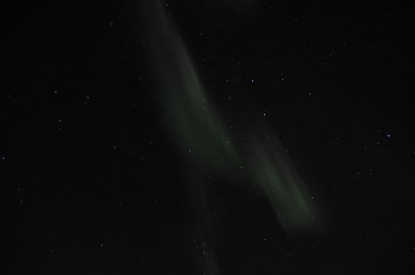 DSC_8694
