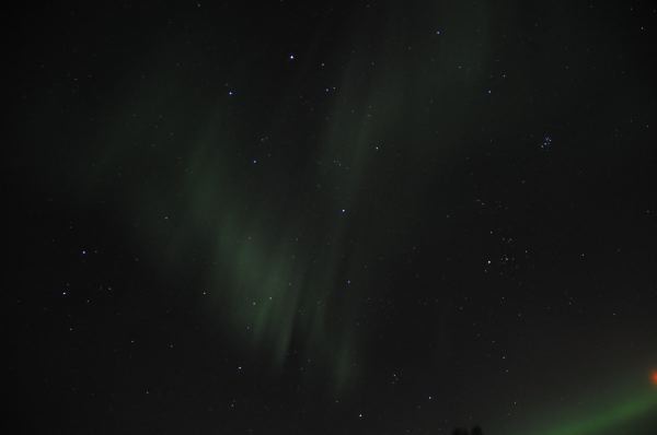 DSC_8709