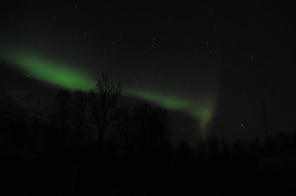 DSC_8713