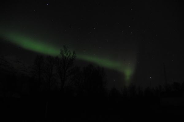 DSC_8714