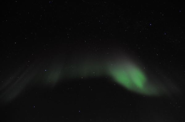 DSC_8774